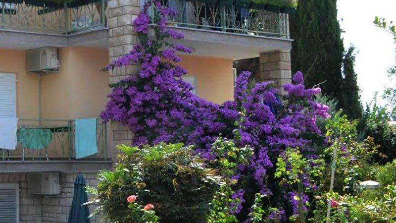 Villa Bencun Медулин Екстериор снимка